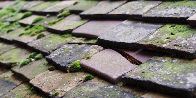 Llanybri roof repair costs